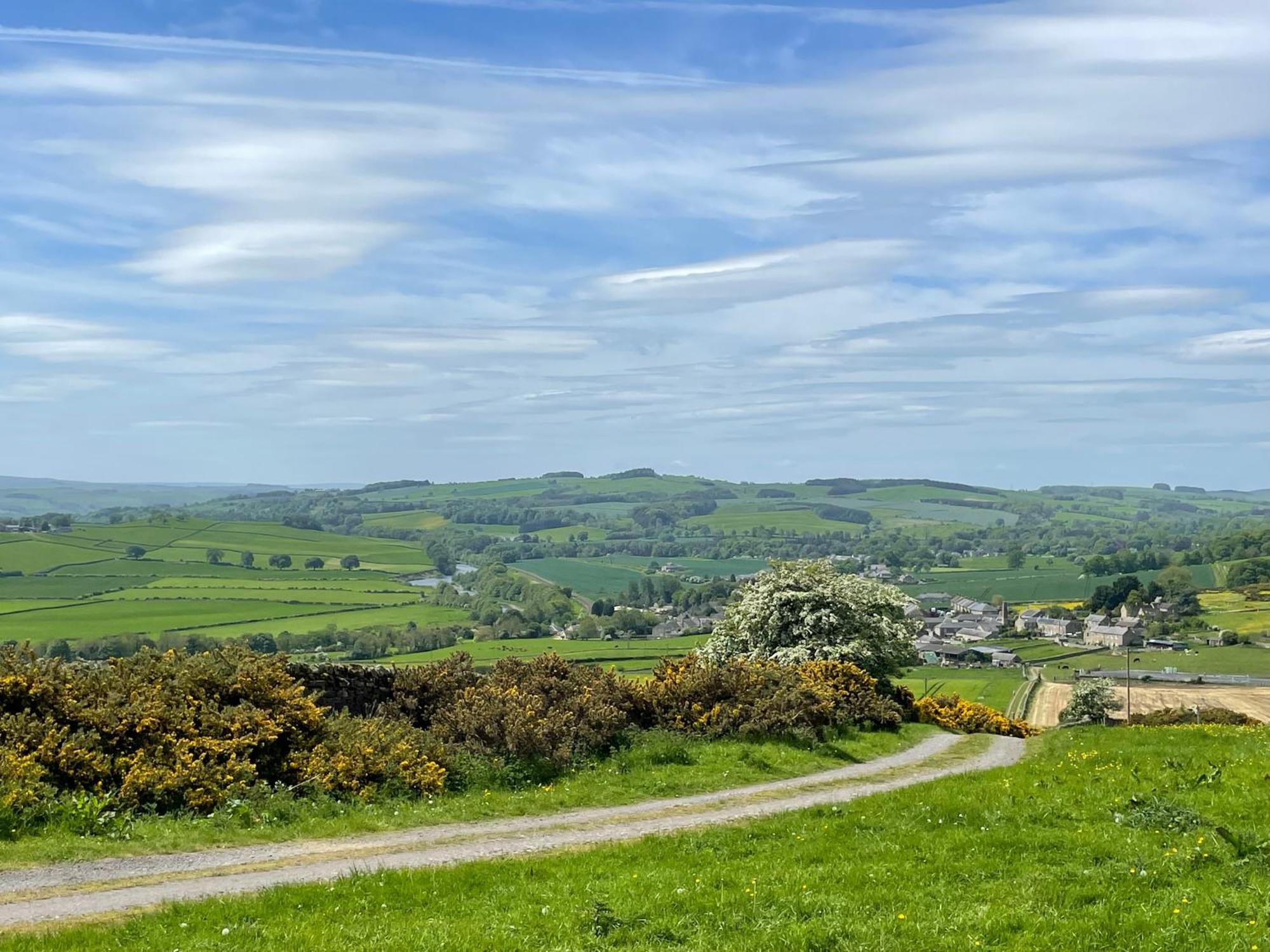 Stay On The Hill - Self Catered Cottages Laverick And Bothy Hexham Dış mekan fotoğraf
